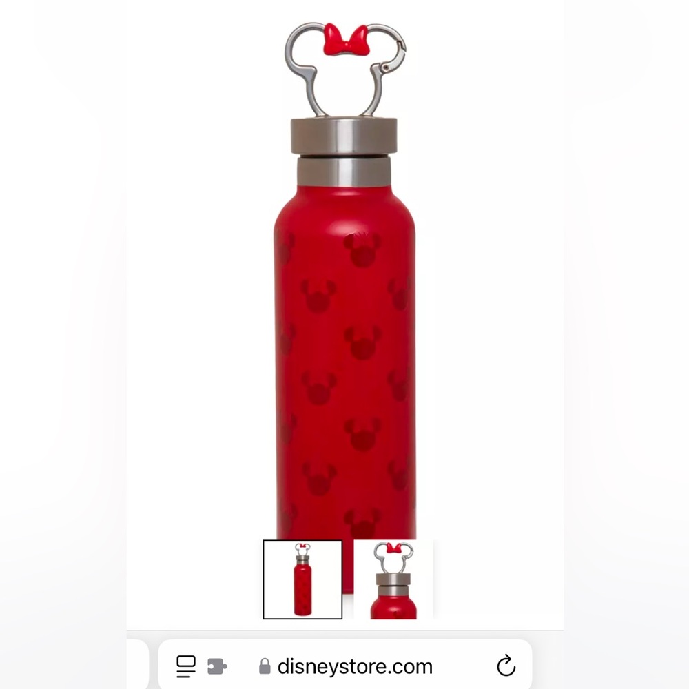 Disney Minnie Mouse Stainless Steel Water Bottle with Clip NWT